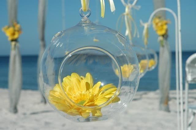Clear glass orb with yellow flower, hanging on a beach with blue sky and ocean in the background.