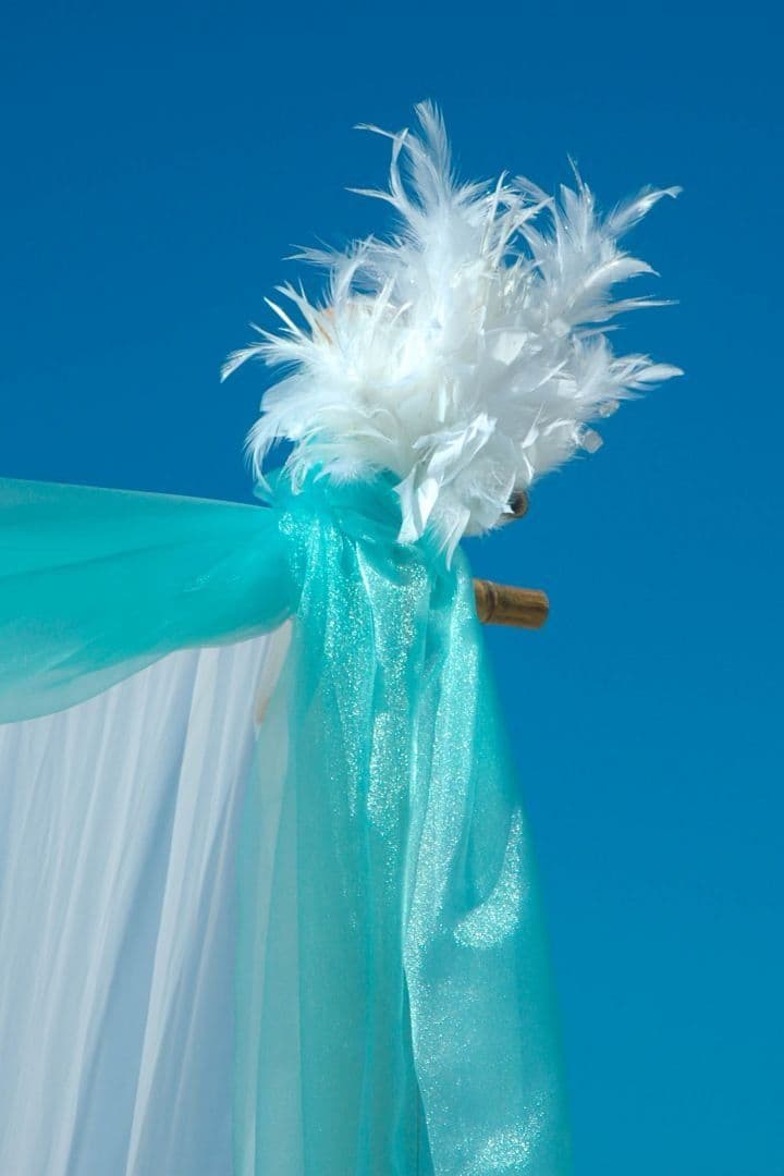 White feathers and teal fabric against a clear blue sky.