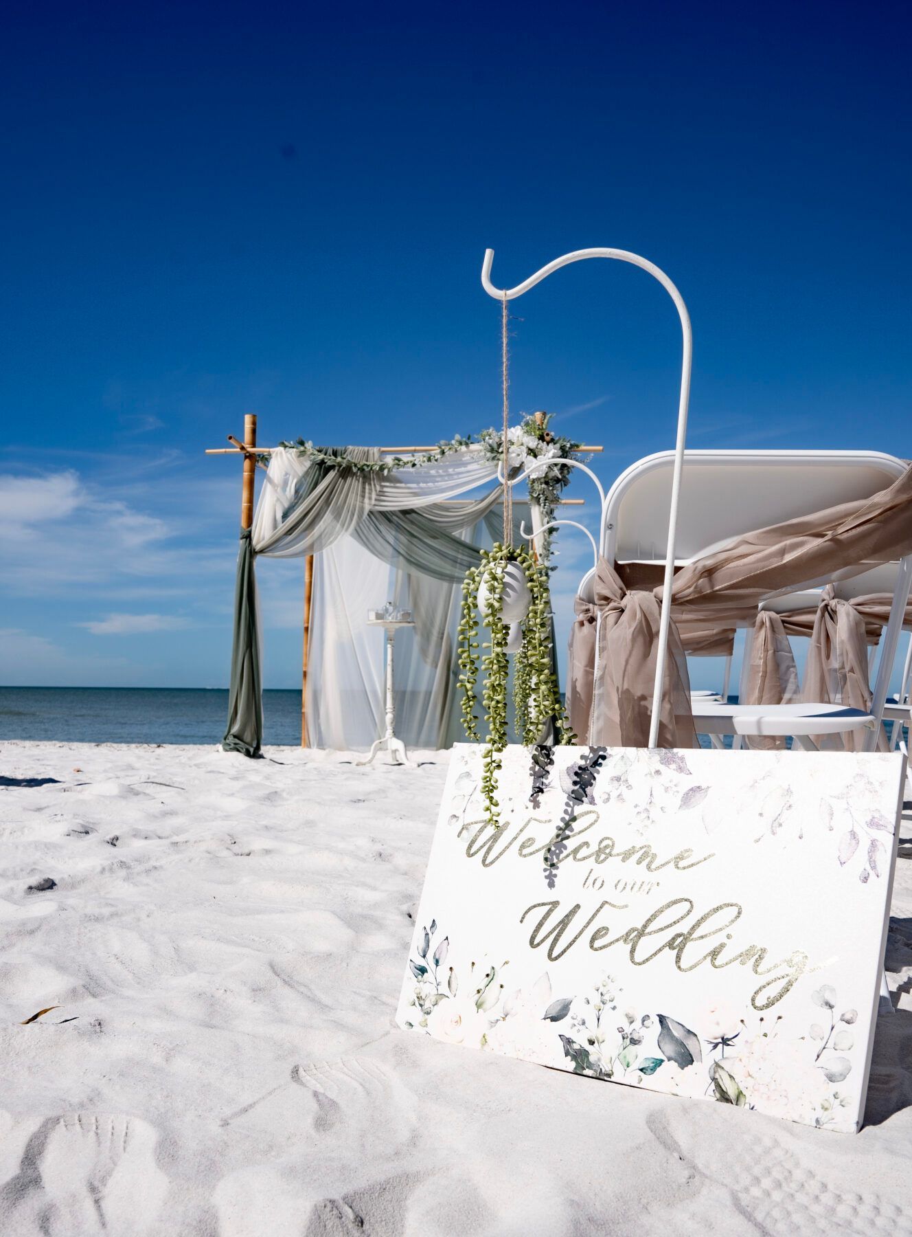 Tropical Breeze photo 14