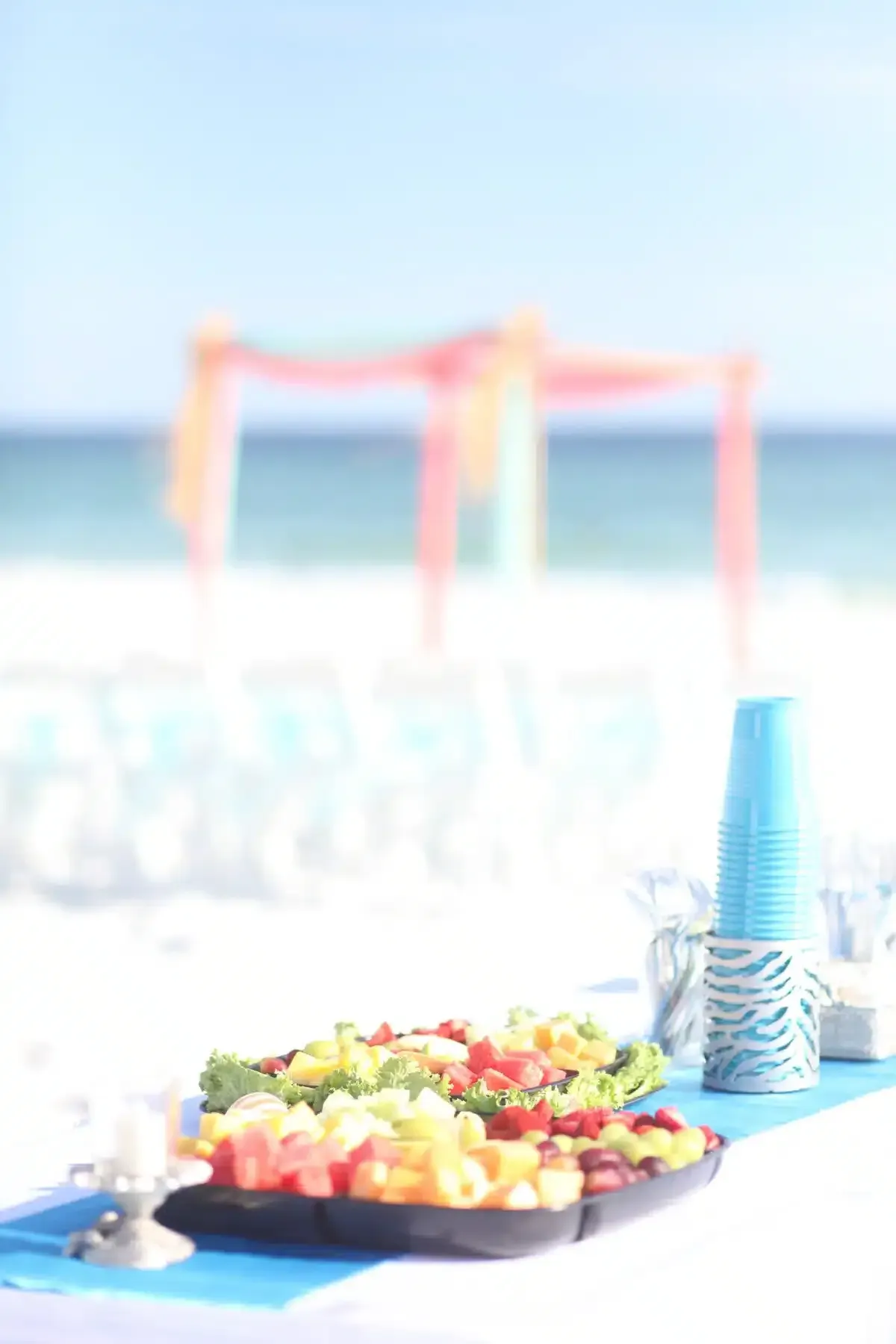 Tropical Breeze photo 9