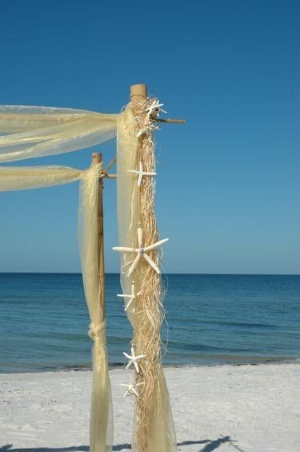 Beach wedding arch decorated with starfish and flowing fabric, ocean and blue sky in background.